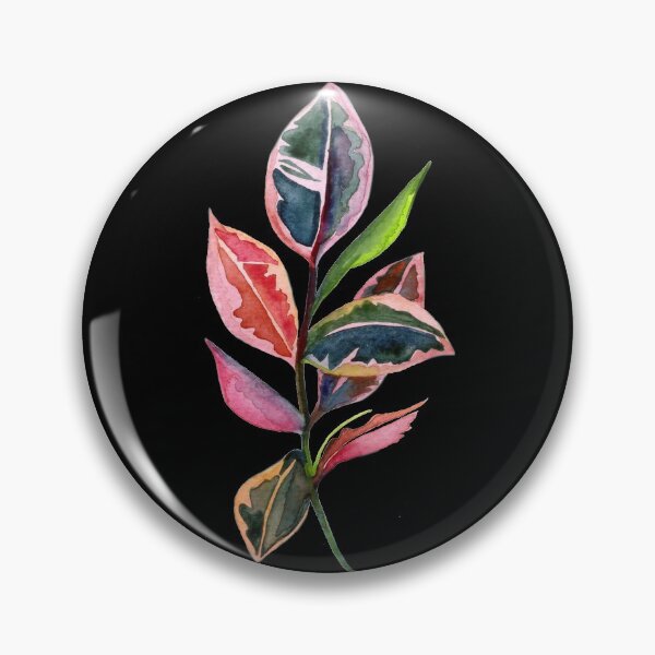 Item preview, stromanthe sanguinea designed and sold by SofisGarden.