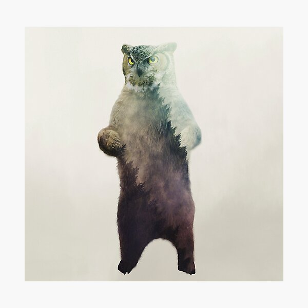 Item preview, Owlbear in Forest designed and sold by Andy Wynn.