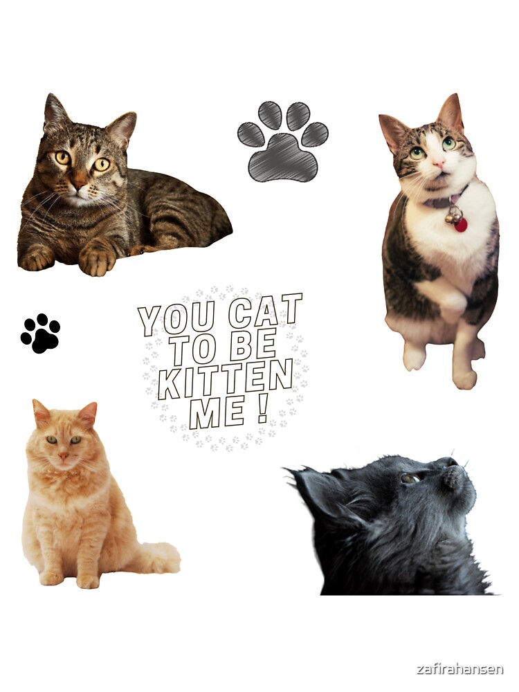 Download Cat Bundle You Cat To Be Kitten Me Kids T Shirt By Zafirahansen Redbubble