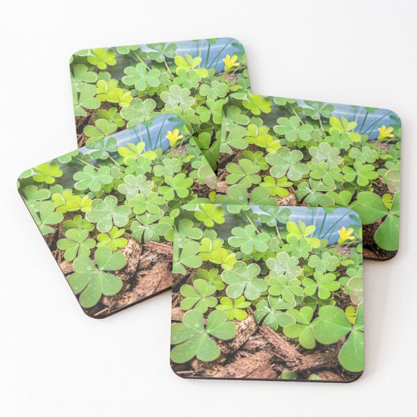 Item preview,  Macro of 3 Leaf Clovers designed and sold by KensLensDesigns.