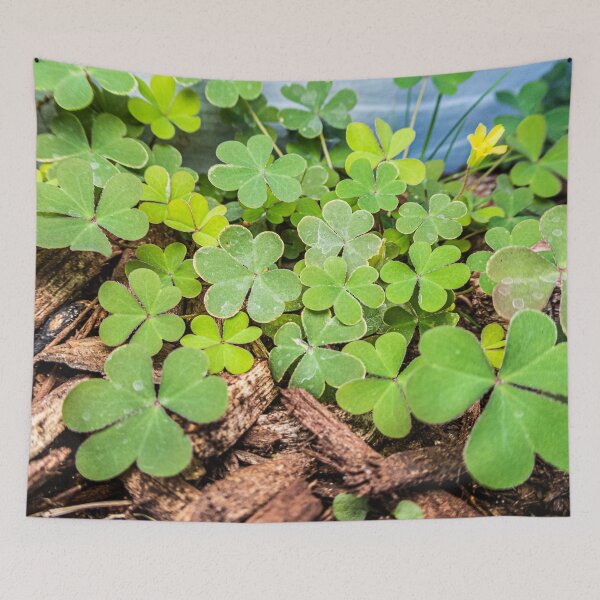 Item preview,  Macro of 3 Leaf Clovers designed and sold by KensLensDesigns.