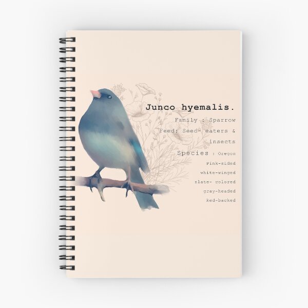 Item preview, Junco Bird Vintage print.  designed and sold by faztheartnoob.