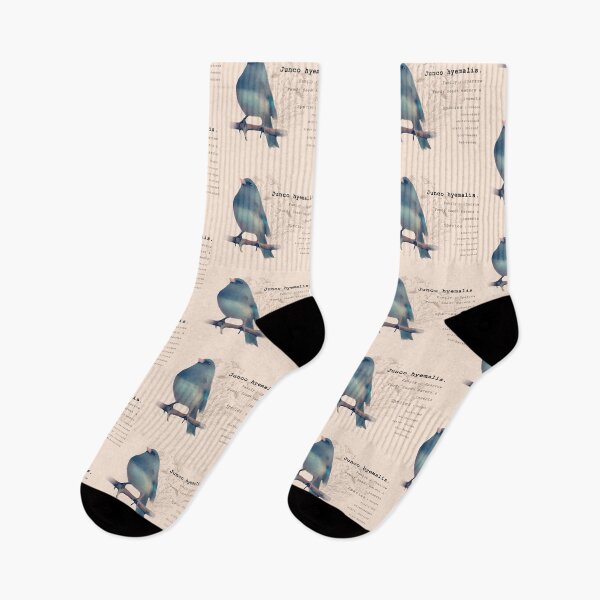 Item preview, Junco Bird Vintage print.  designed and sold by faztheartnoob.