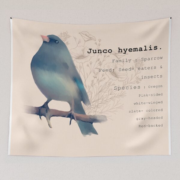 Item preview, Junco Bird Vintage print.  designed and sold by faztheartnoob.
