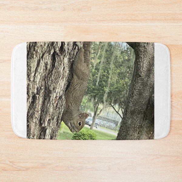 Item preview, cute Squirrel eating designed and sold by Ettevehs.