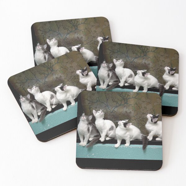 Item preview, Four Curious Kittens designed and sold by CarolM.