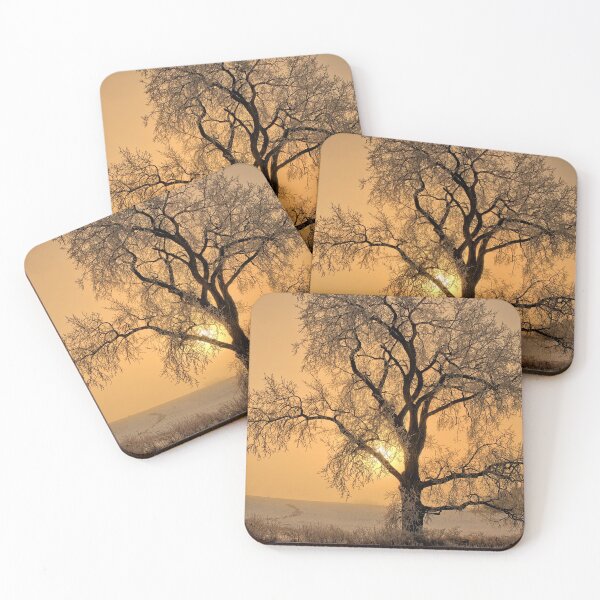Item preview, Frosty Cottonwood designed and sold by LynyrdSky.