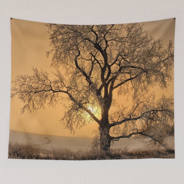 Item preview, Frosty Cottonwood designed and sold by LynyrdSky.