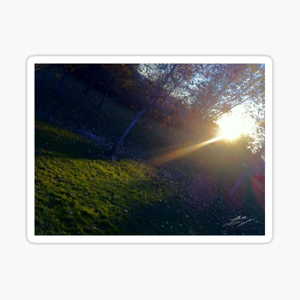Item preview, Nature Lights our Path designed and sold by Jairo Guarin.