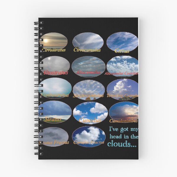 Item preview, "I've got my head in the clouds..." Cloud flow chart designed and sold by TheWrongCentury.