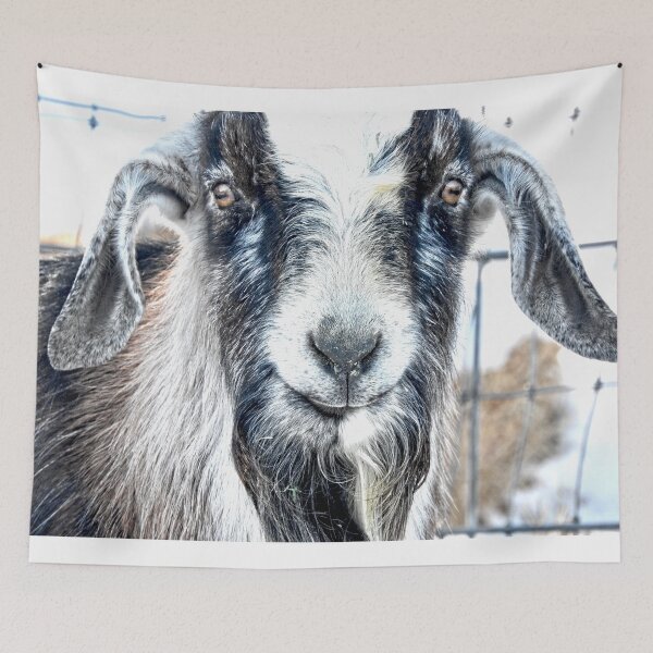 Item preview, billy goat beard, goatee, panda goat designed and sold by Stephanie Skeem.