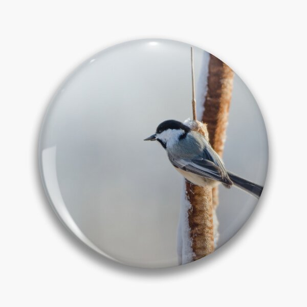 Item preview, Chickadee on a cattail in the winter designed and sold by rodmacpherson.