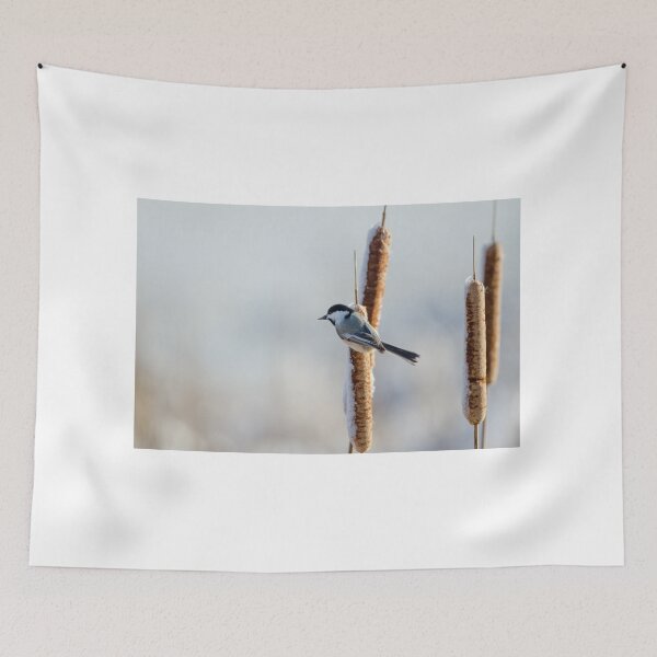 Item preview, Chickadee on a cattail in the winter designed and sold by rodmacpherson.