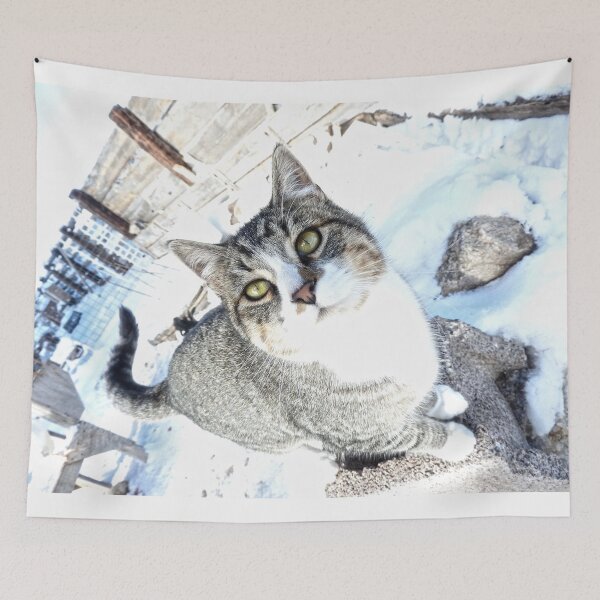 Item preview, happy farm cat in the snow designed and sold by Stephanie  Skeem.
