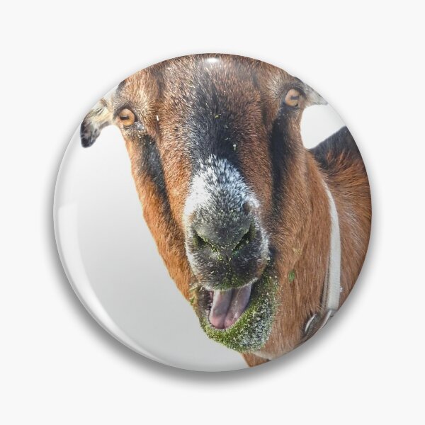 Item preview, Funny green faced goat, eating healthy is fun designed and sold by Stephanie  Skeem.
