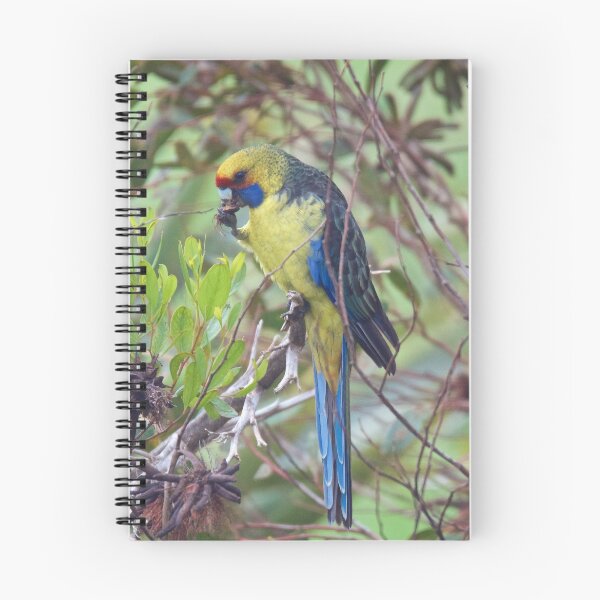 Item preview, PARROT ~ Green Rosella K8S5RGRK by David Irwin designed and sold by tasmanianartist.