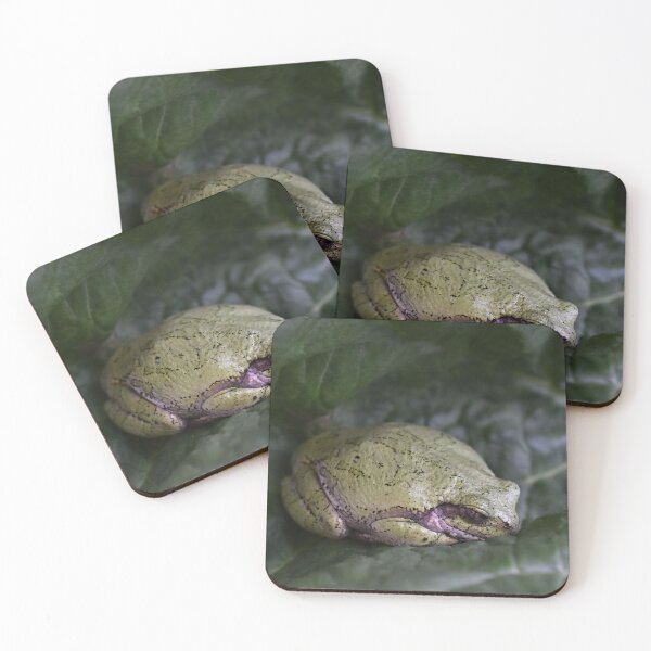 Item preview, Tree Frog designed and sold by KathrynEckerman.