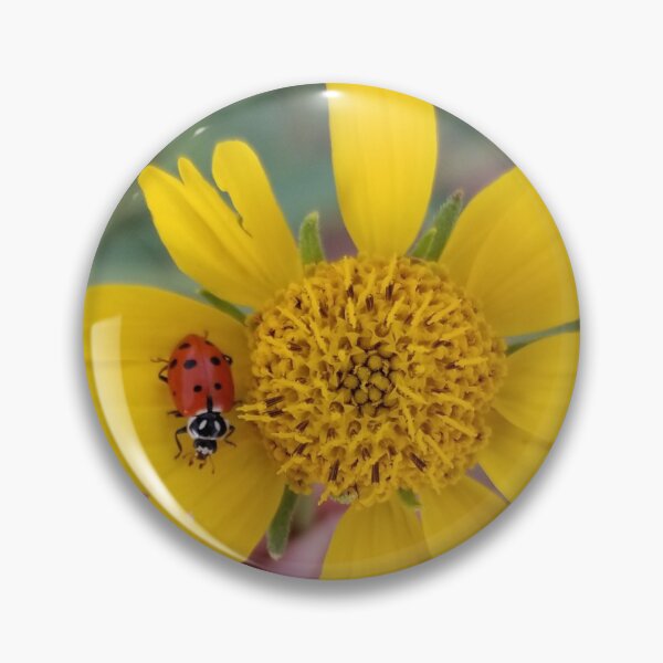 Item preview, Mariquita Bloom designed and sold by 21feathers.