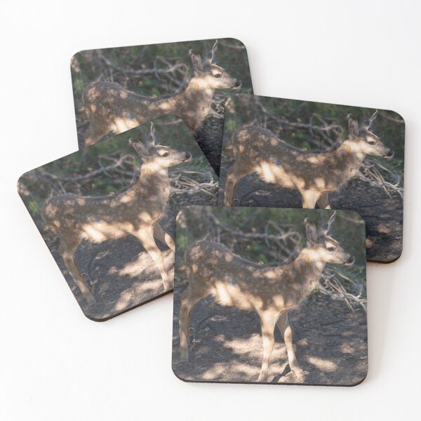 Item preview, A Fawn Stands in the Dappled Light of a Forest designed and sold by MomentofPercep.