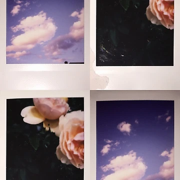 Artwork thumbnail, Flow by AkermanTri