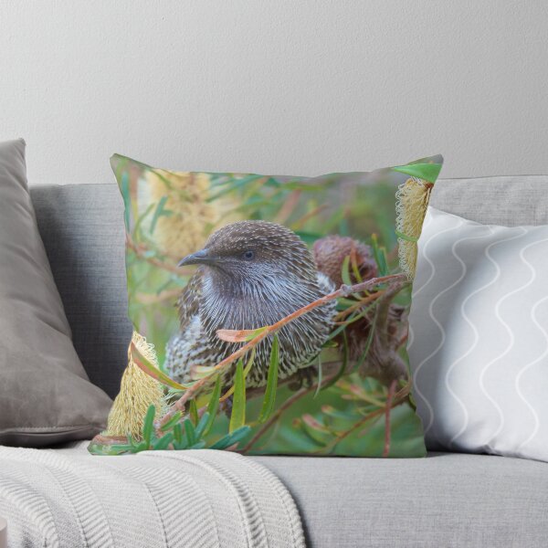 Item preview, HONEYEATER ~ Little Wattlebird ZhwhiXHj by David Irwin designed and sold by tasmanianartist.