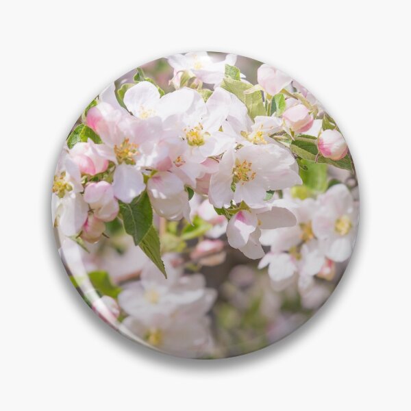Item preview, Springtime Pink Apple Blossoms - Okanagan Valley designed and sold by Amy Mitchell.