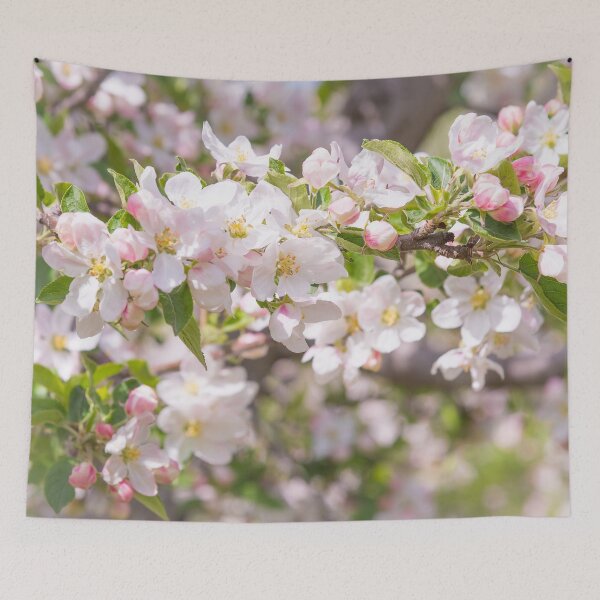 Item preview, Springtime Pink Apple Blossoms - Okanagan Valley designed and sold by Amy Mitchell.