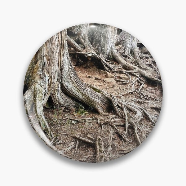 Item preview, Rooted designed and sold by 21feathers.
