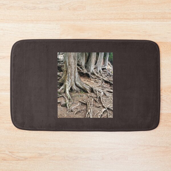 Item preview, Rooted designed and sold by 21feathers.