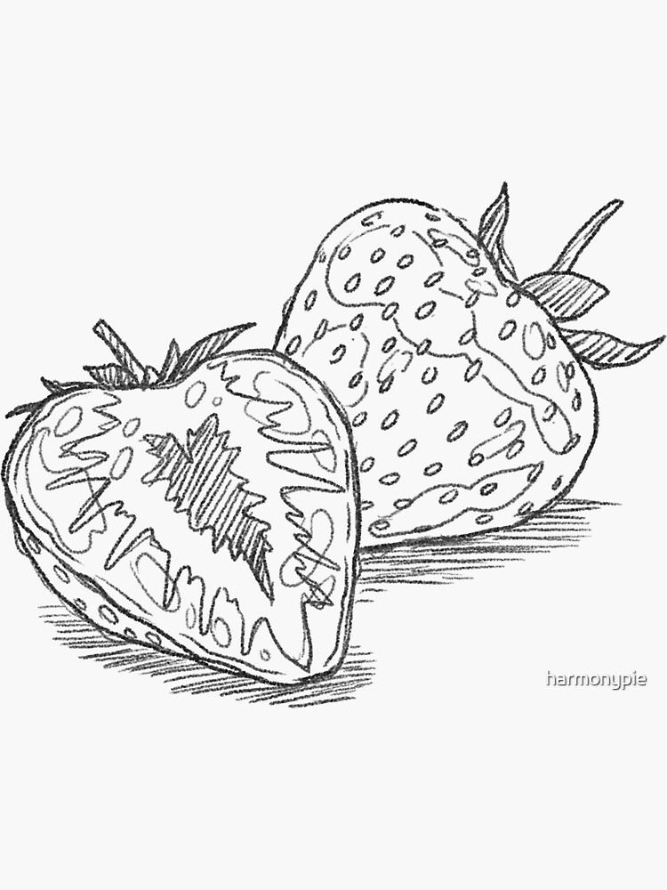 Sketch Fruits Bundle - Design Cuts