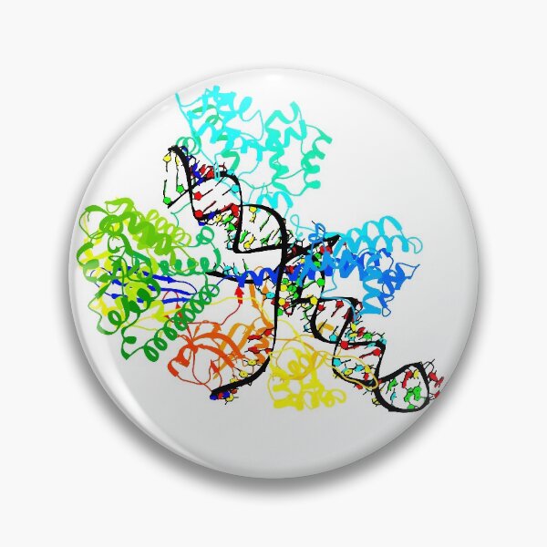 Item preview, CRISPR Cas9 designed and sold by 3D Biology.