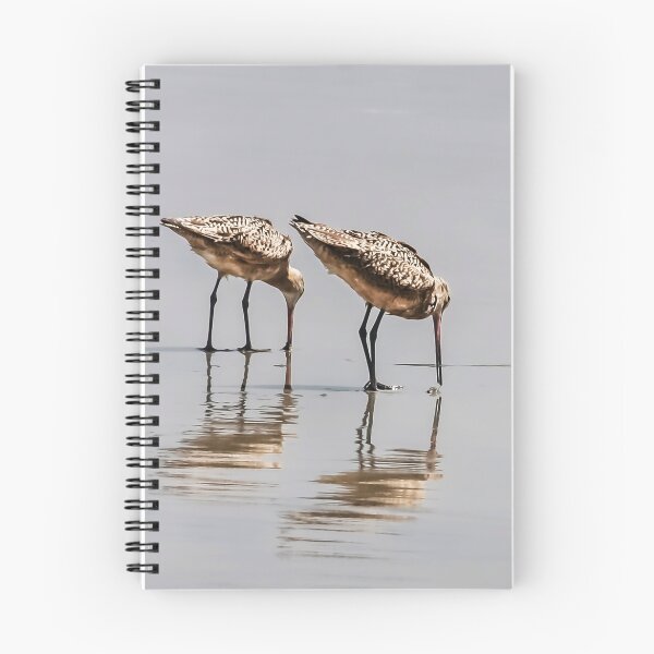 Item preview, Lunchtime for Sandpipers  designed and sold by heatherfriedman.
