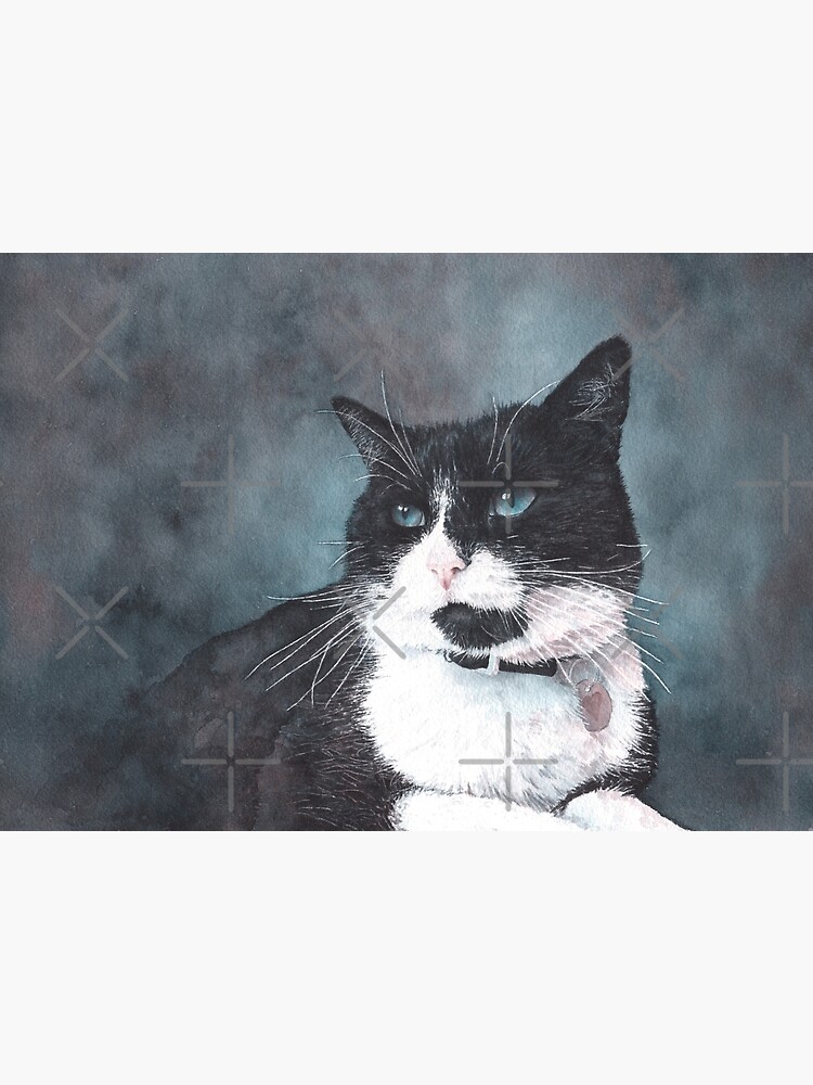 Carte De Vœux Daisy Le Chat Noir Et Blanc Par Motiblack Redbubble