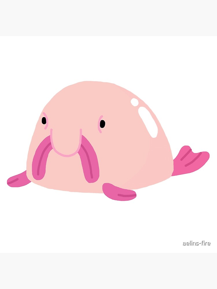 Blobfish Stock Illustrations – 43 Blobfish Stock Illustrations