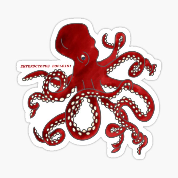 Giant Pacific Octopus (Enteroctopus dofleini) Sticker
