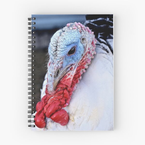 Item preview, Turkey designed and sold by KathrynEckerman.