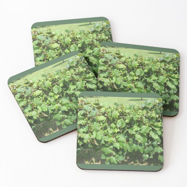 Item preview, Grapes on the vine are not yet ready to pick. designed and sold by Mariann Moritz.