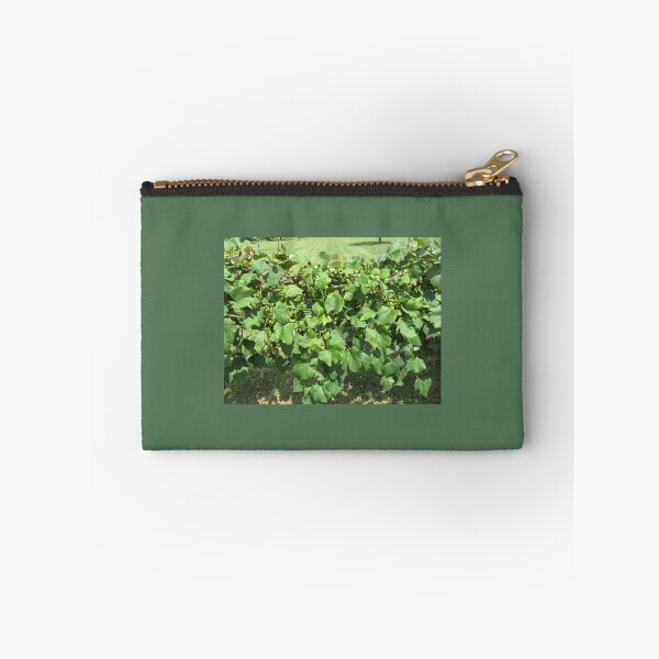 Item preview, Grapes on the vine are not yet ready to pick. designed and sold by Mariann Moritz.