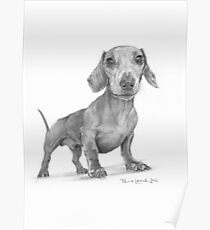 Max the Dog Poster