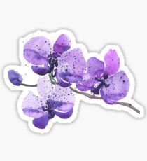 Pegatina Acuarela púrpura de la orquídea
