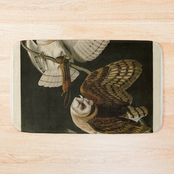 Item preview, 171 Barn Owl designed and sold by Bird-Lore.