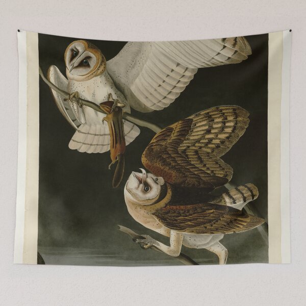 Item preview, 171 Barn Owl designed and sold by Bird-Lore.