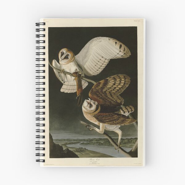 Item preview, 171 Barn Owl designed and sold by Bird-Lore.
