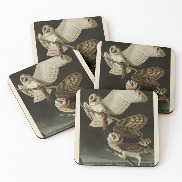 Item preview, 171 Barn Owl designed and sold by Bird-Lore.