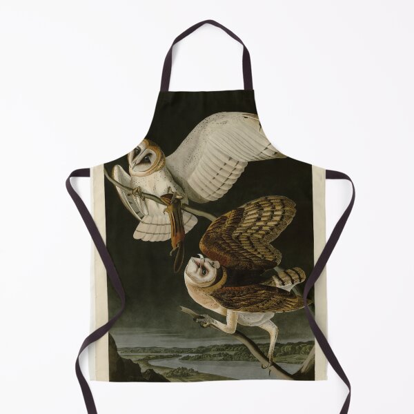 Item preview, 171 Barn Owl designed and sold by Bird-Lore.