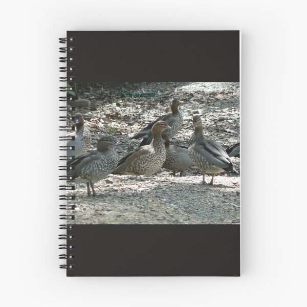 Item preview, Ducks posing especially for me as they love my dam. designed and sold by ginnymac.