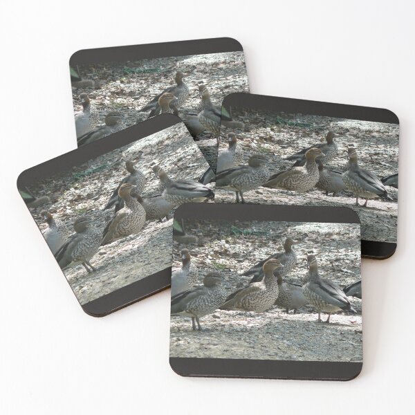 Item preview, Ducks posing especially for me as they love my dam. designed and sold by ginnymac.