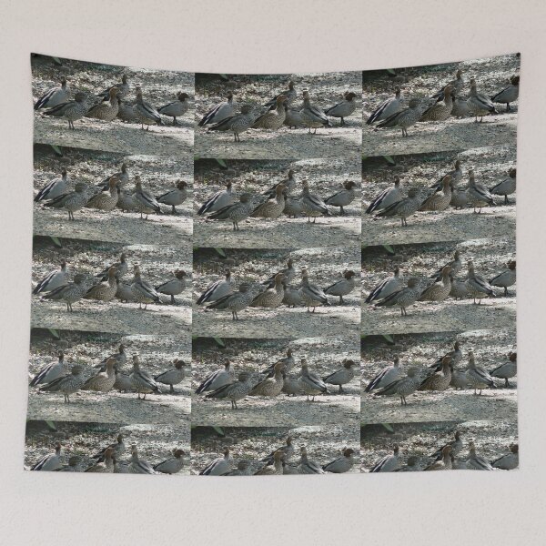 Item preview, Ducks posing especially for me as they love my dam. designed and sold by ginnymac.