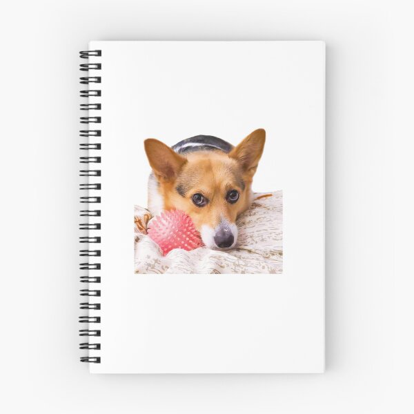 Item preview, Corgi with ball vers.2 designed and sold by Nartist.