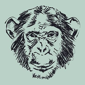 Artwork thumbnail, Rock Monkeys Records by BAYSTALT